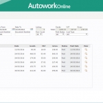 MAM Software Autowork Online Garage management software customer ledger enquiry